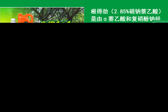 树木回芽成活难？园林绿化中树木回芽的处理技巧